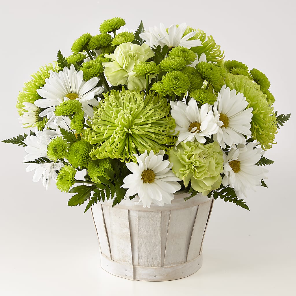 Lucky Charm Basket (Standard) – Heavenly Plants, Regina SK
