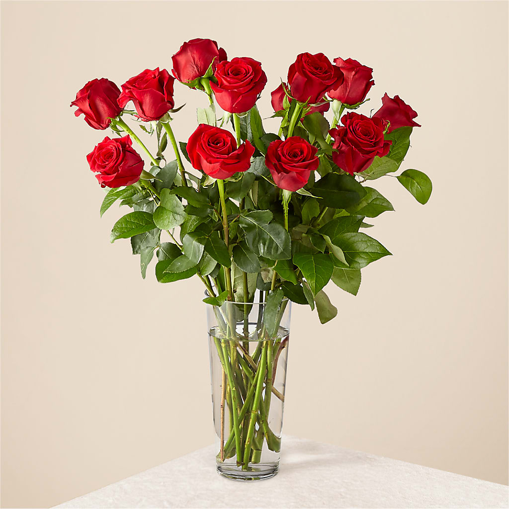 Long Stem Red Rose Bouquet – Heavenly Plants, Regina SK