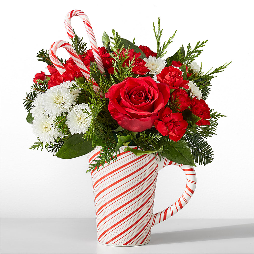 Peppermint Swirl Mug – Heavenly Plants, Regina SK