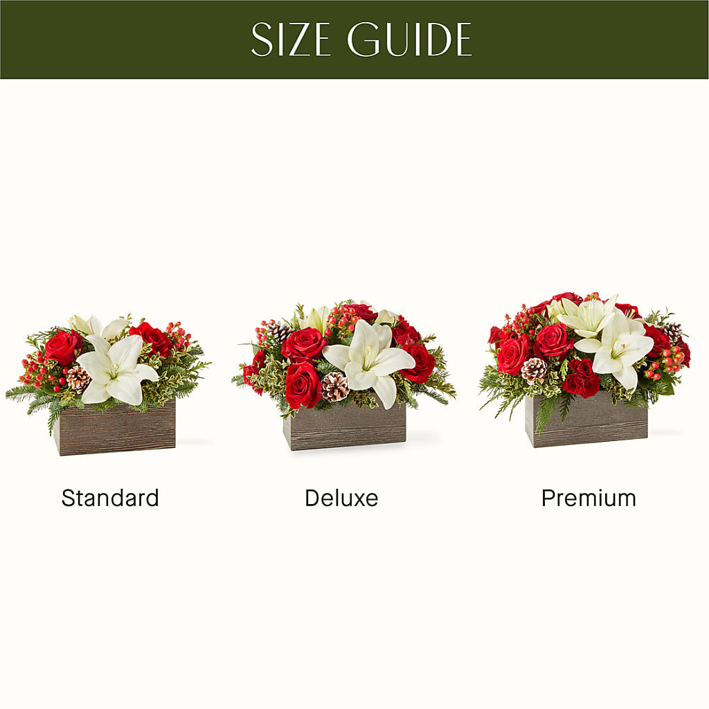 Snowy Wonderland Bouquet – Heavenly Plants, Regina SK