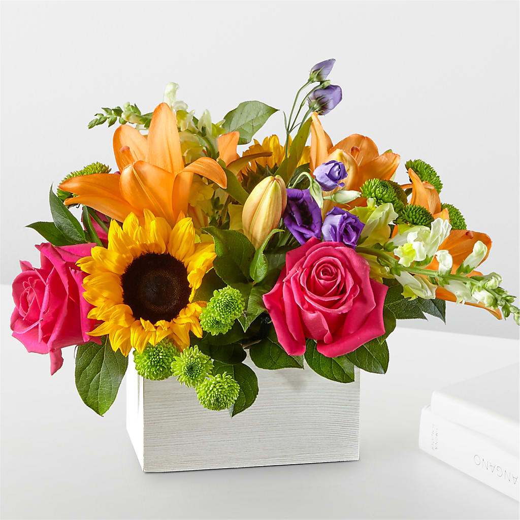 Best Day Box Bouquet – Heavenly Plants, Regina SK