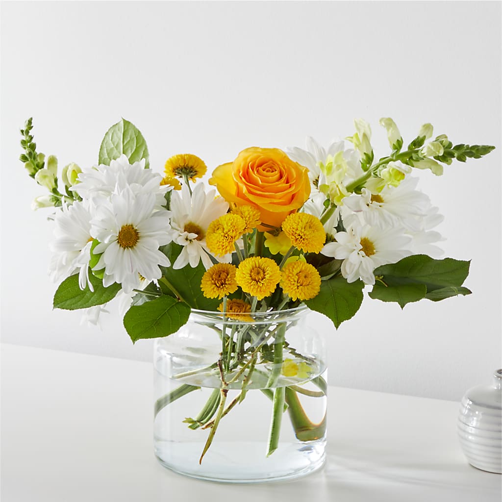 Sun Salutation Bouquet – Heavenly Plants, Regina SK