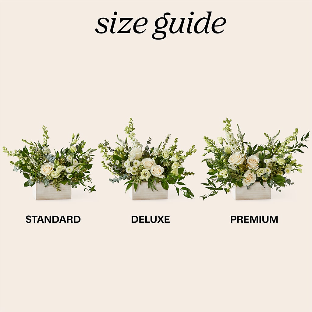 Cashmere Bouquet – Heavenly Plants, Regina SK