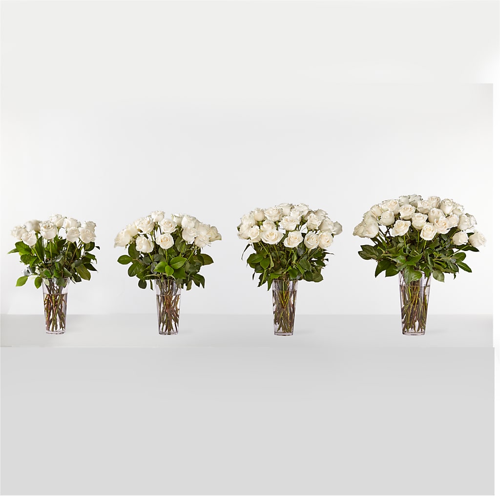 Long Stem White Rose Bouquet – Heavenly Plants, Regina SK