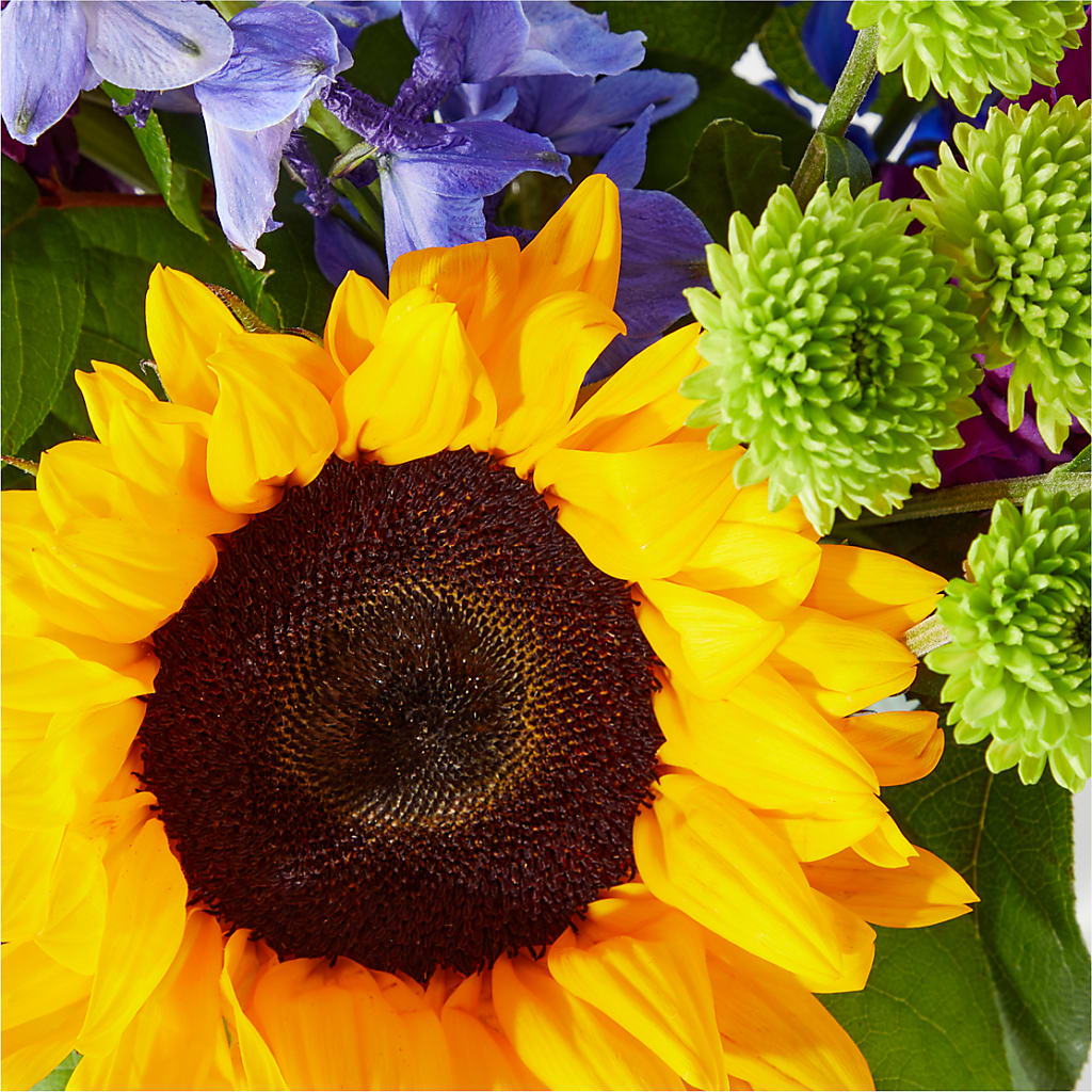Catching Rays Bouquet – Heavenly Plants, Regina SK