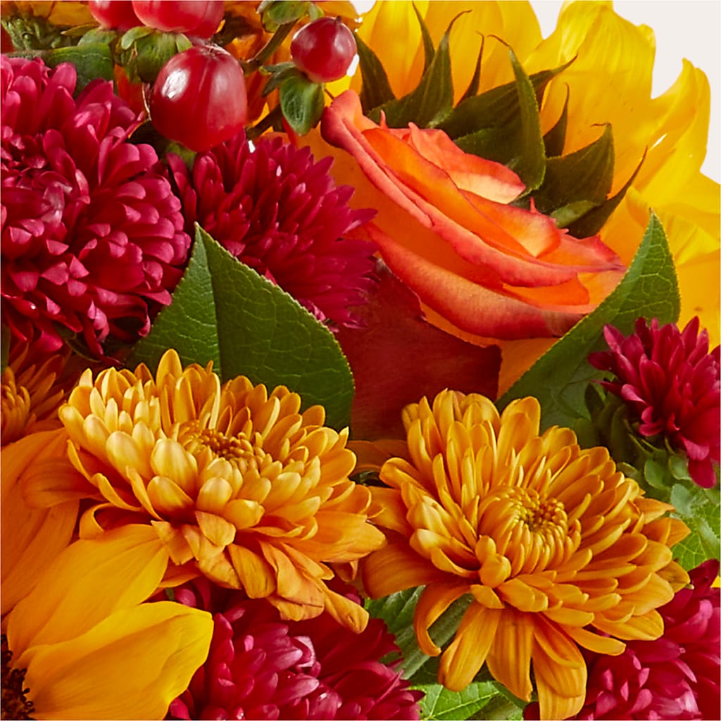 Sweater Season - A Florist Original – Heavenly Plants, Regina SK