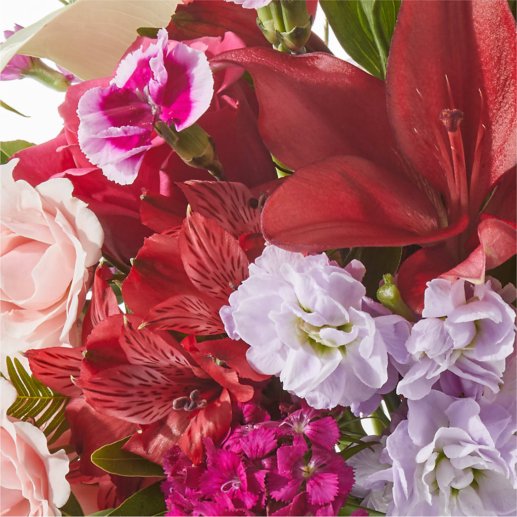 Better Together - A Luxury Florist Original – Heavenly Plants, Regina SK
