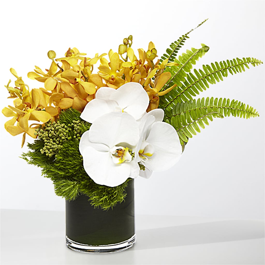 The Tropics – Heavenly Plants, Regina SK
