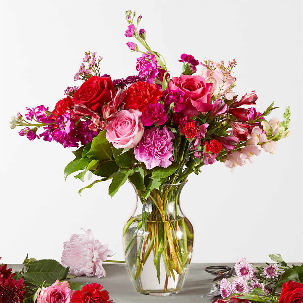 Regal Jewel – A Florist Original – Heavenly Plants, Regina SK
