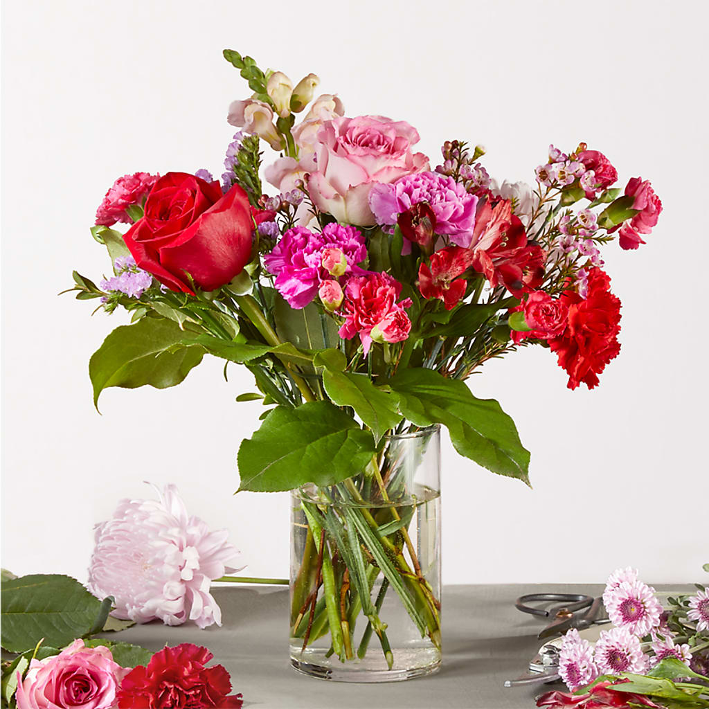 Regal Jewel – A Florist Original – Heavenly Plants, Regina SK