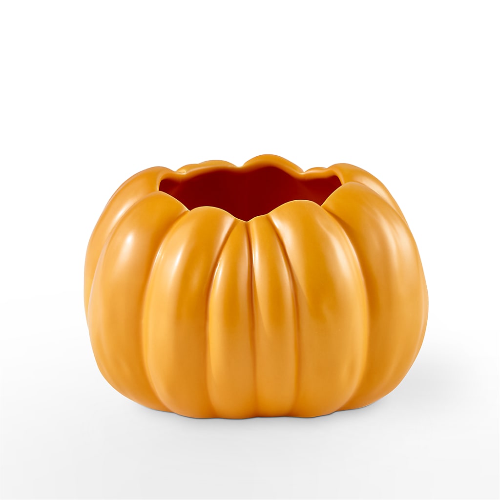 Pick of the Patch Pumpkin Bouquet – Heavenly Plants, Regina SK