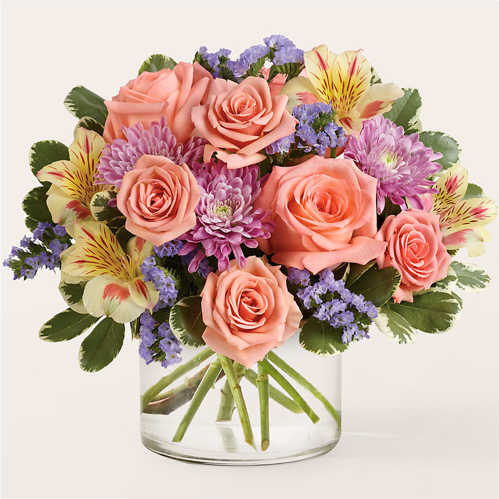 Candy Coated Bouquet – Heavenly Plants, Regina SK