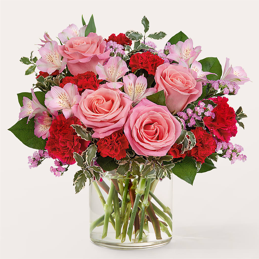 First Impressions Bouquet – Heavenly Plants, Regina SK