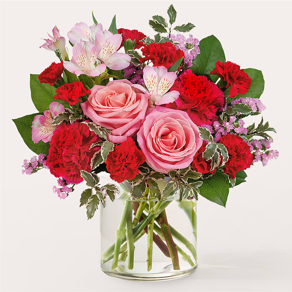 First Impressions Bouquet – Heavenly Plants, Regina SK