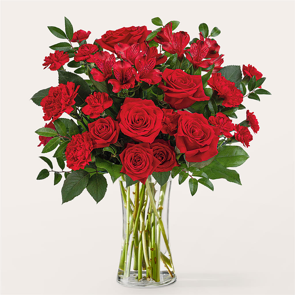 Brilliant Ruby Bouquet – Heavenly Plants, Regina SK
