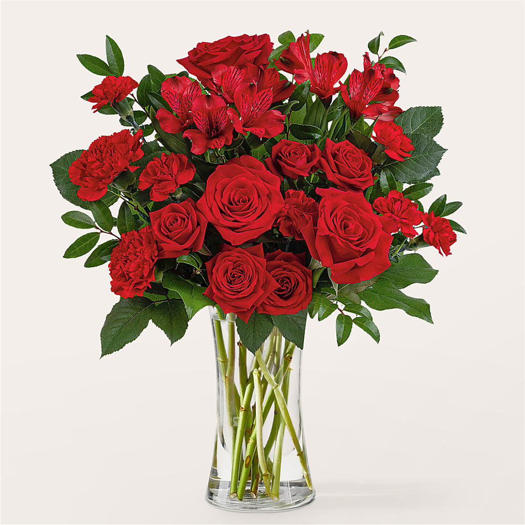 Brilliant Ruby Bouquet – Heavenly Plants, Regina SK