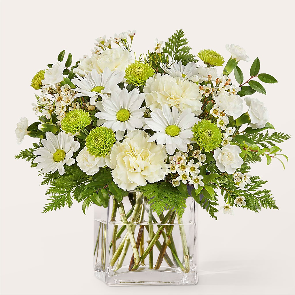 Momentary Meditation Bouquet – Heavenly Plants, Regina SK