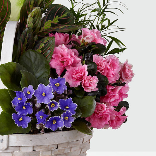 Peaceful Garden Planter – Heavenly Plants, Regina SK