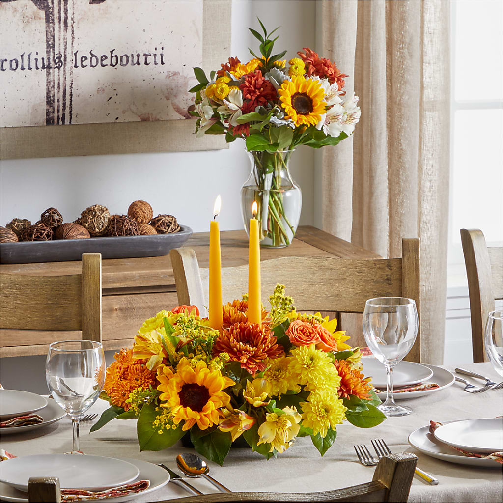 Golden Gathering Bundle – Heavenly Plants, Regina SK