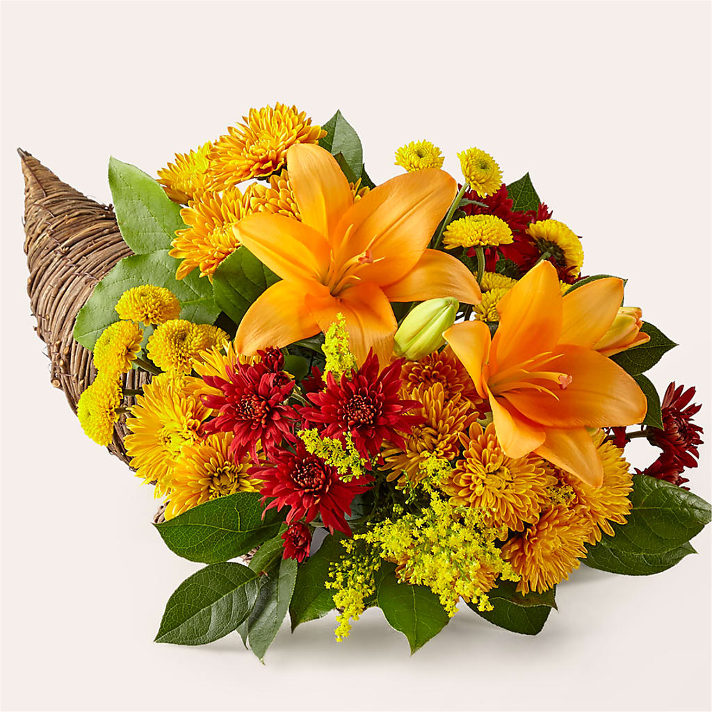 Feast of Color Cornucopia – Heavenly Plants, Regina SK