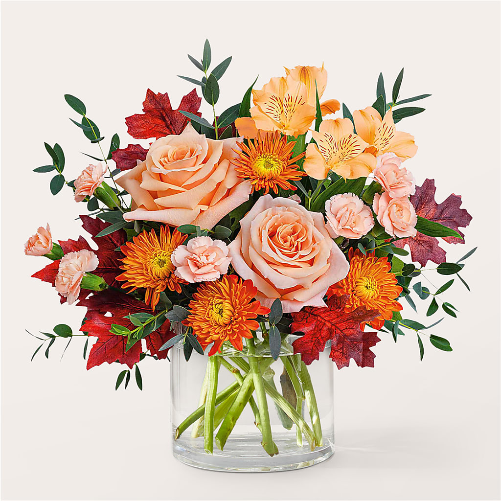 Spiced Latte Bouquet – Heavenly Plants, Regina SK