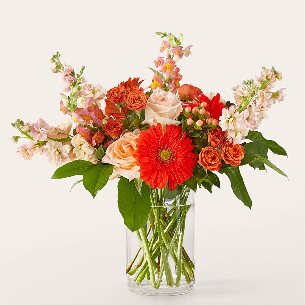 Paloma Please Bouquet – Heavenly Plants, Regina SK