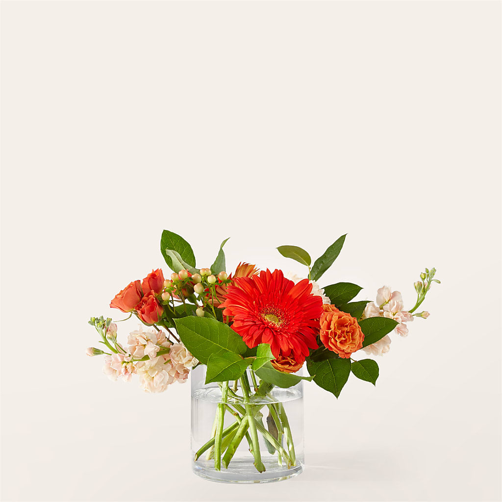 Paloma Please Bouquet – Heavenly Plants, Regina SK