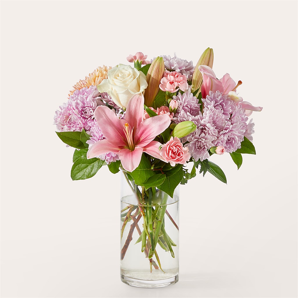 Gelato Bouquet – Heavenly Plants, Regina SK