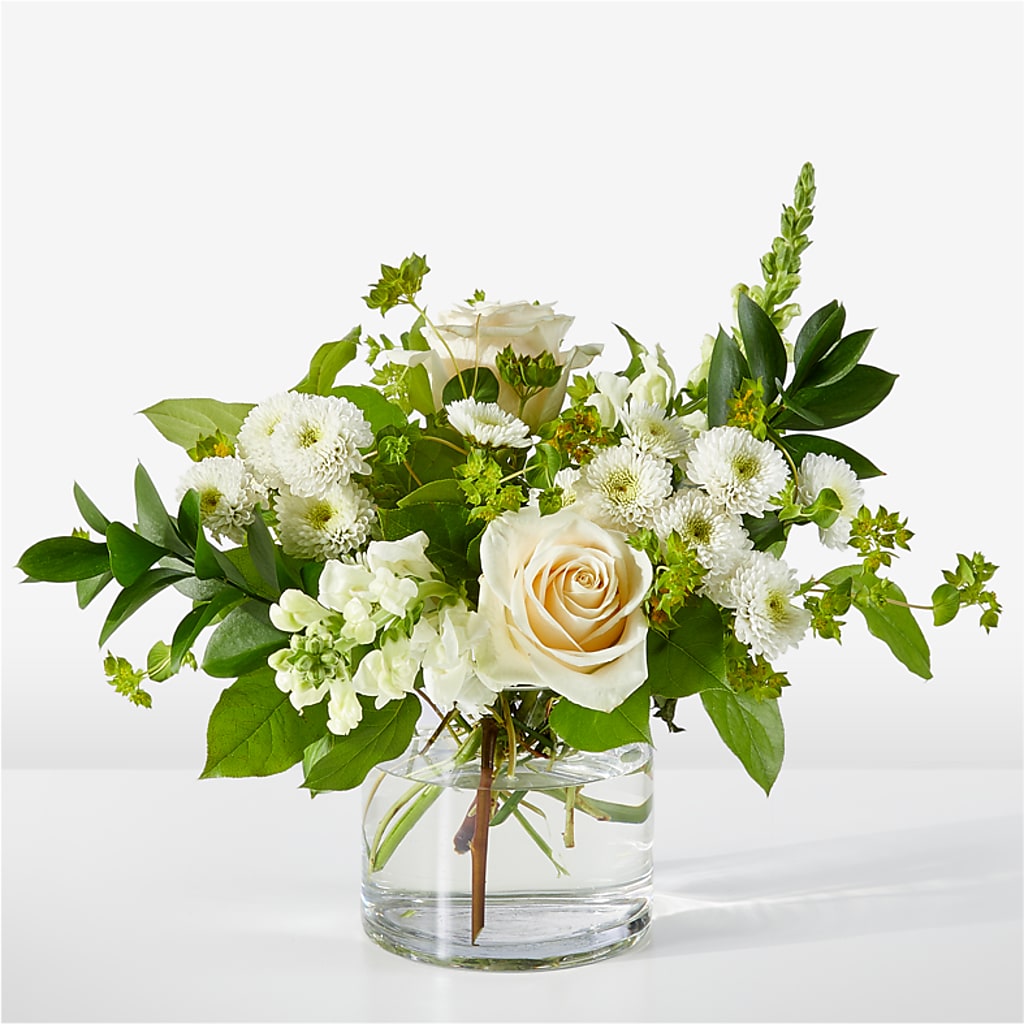 Hint of Vanilla Bouquet – Heavenly Plants, Regina SK
