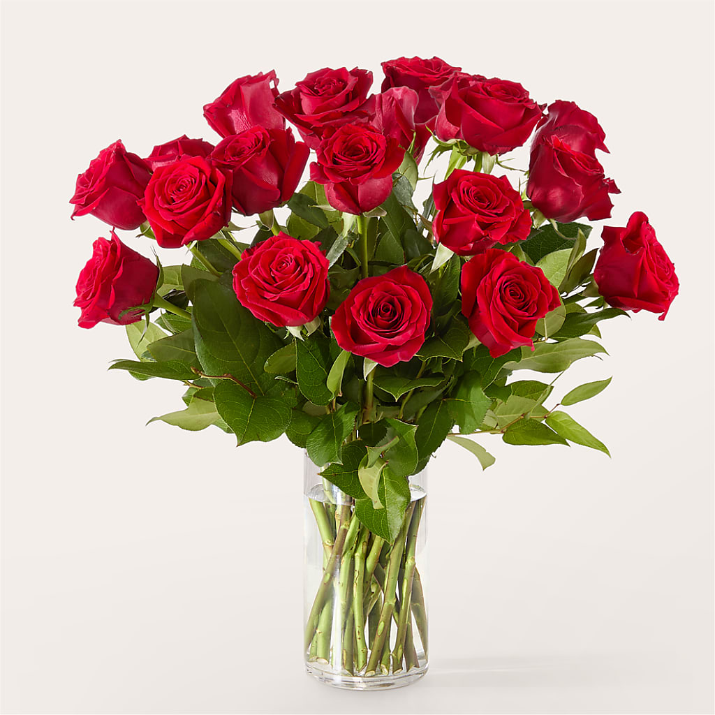 The One Red Rose Bouquet – Heavenly Plants, Regina SK