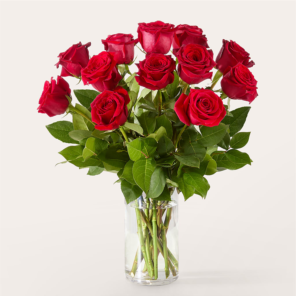 The One Red Rose Bouquet – Heavenly Plants, Regina SK