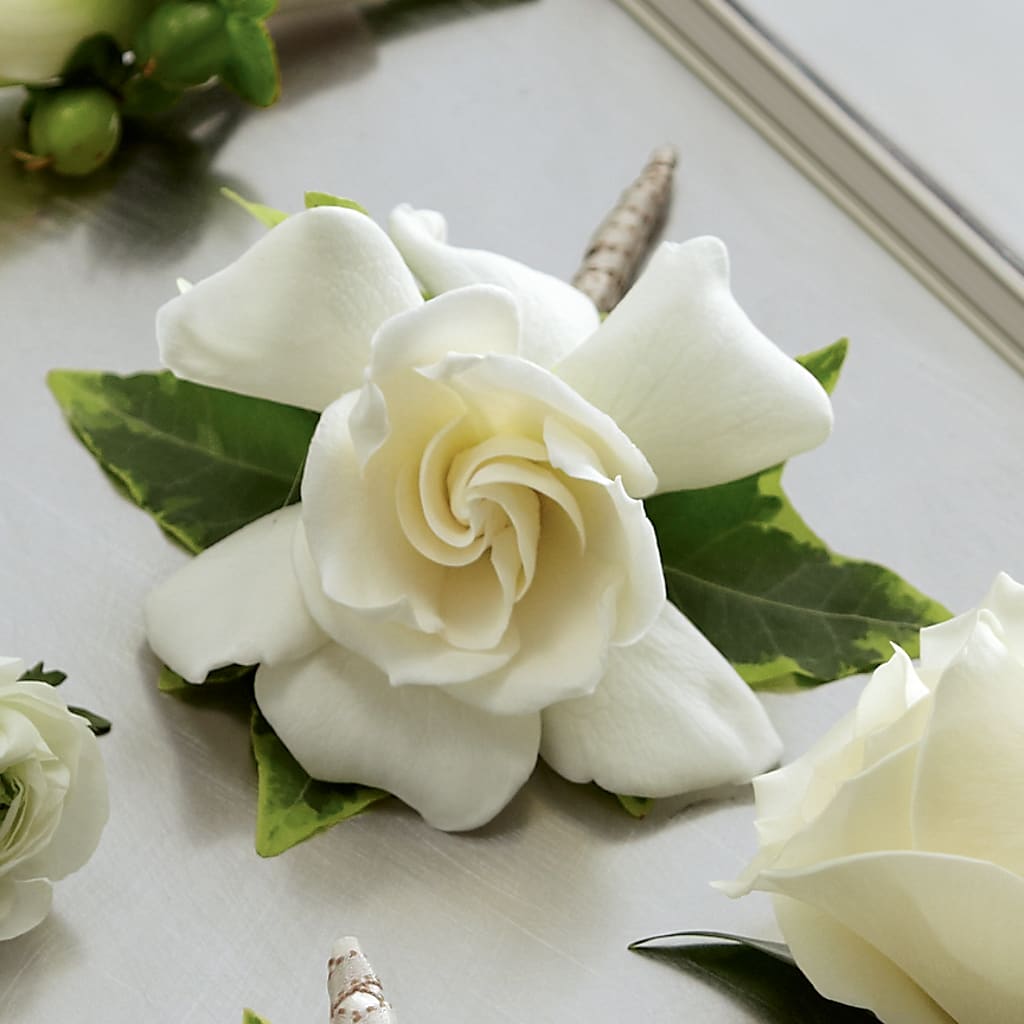 Gardenia Boutonniere – Heavenly Plants, Regina SK