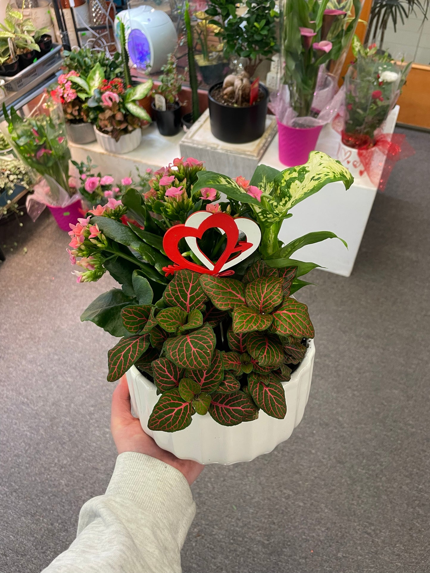 Combo Planter 7"