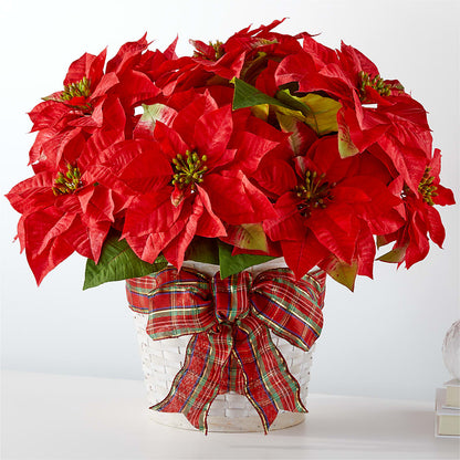 Poinsettia des plus joyeuses fêtes