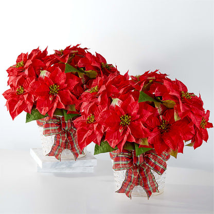 Happiest Holidays Poinsettia Bundle –  Heavenly Plants, Regina SK