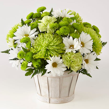 Lucky Charm Basket (Standard) –  Heavenly Plants, Regina SK