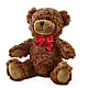 Adorable Plush Bear –  Heavenly Plants, Regina SK