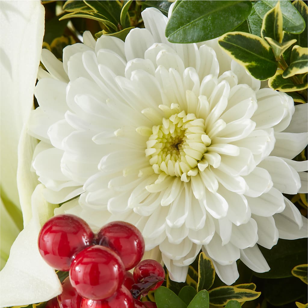 Festive Moments Tree –  Heavenly Plants, Regina SK
