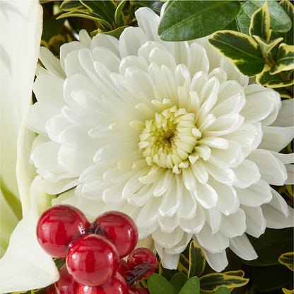 Festive Moments Tree –  Heavenly Plants, Regina SK