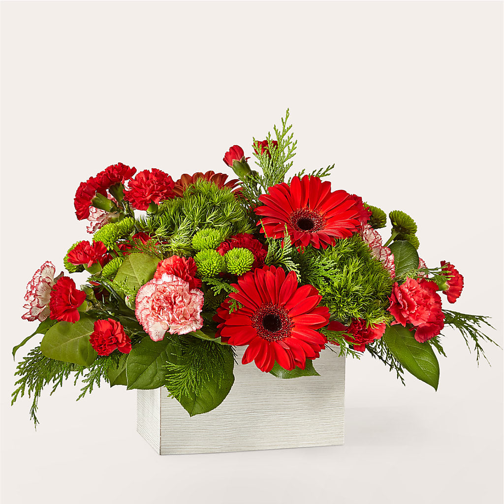 Le bouquet de Rudolph