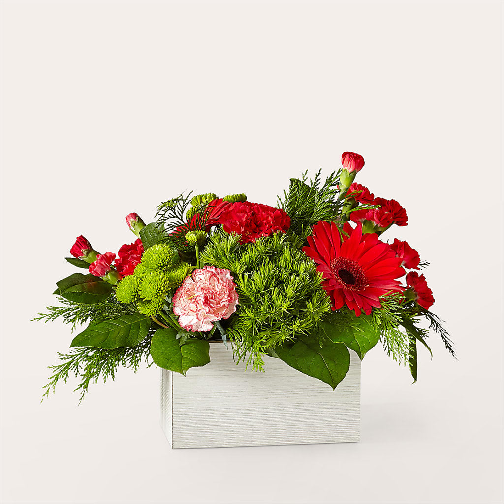 Le bouquet de Rudolph