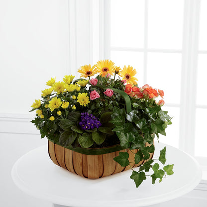 Gentle Blossoms Basket –  Heavenly Plants, Regina SK