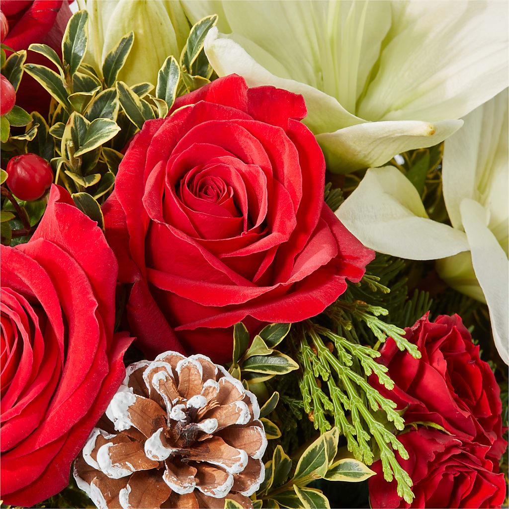 Snowy Wonderland Bouquet –  Heavenly Plants, Regina SK