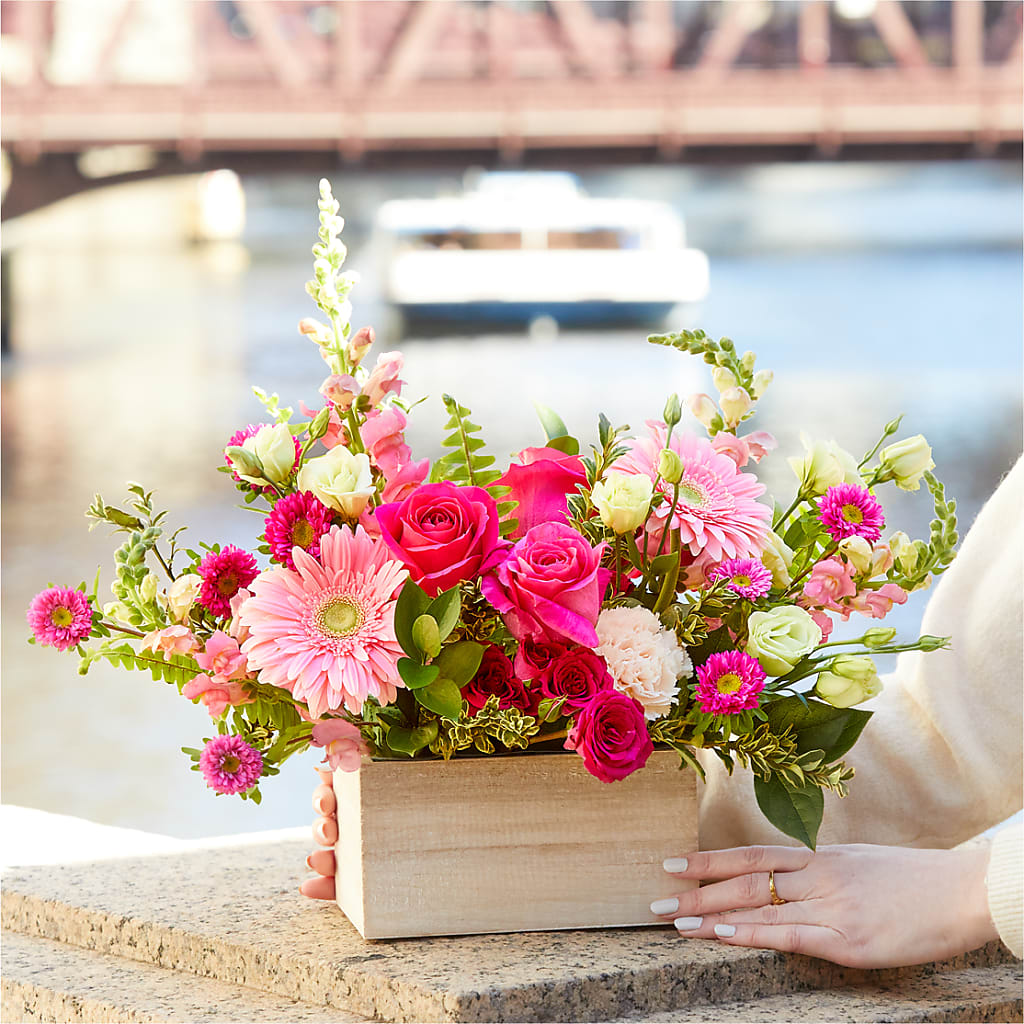 Too Cute Bouquet –  Heavenly Plants, Regina SK