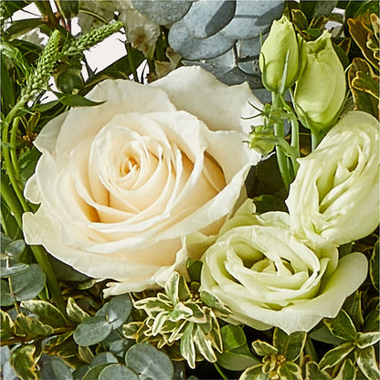 Cashmere Bouquet –  Heavenly Plants, Regina SK