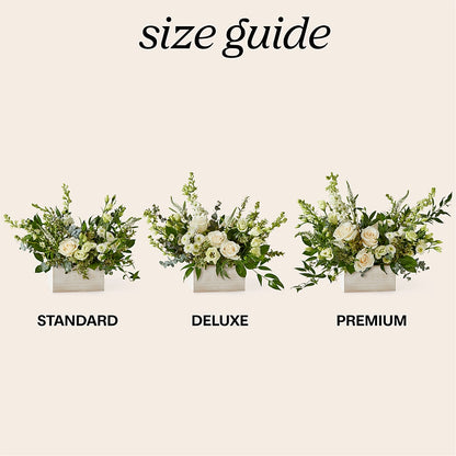 Cashmere Bouquet –  Heavenly Plants, Regina SK