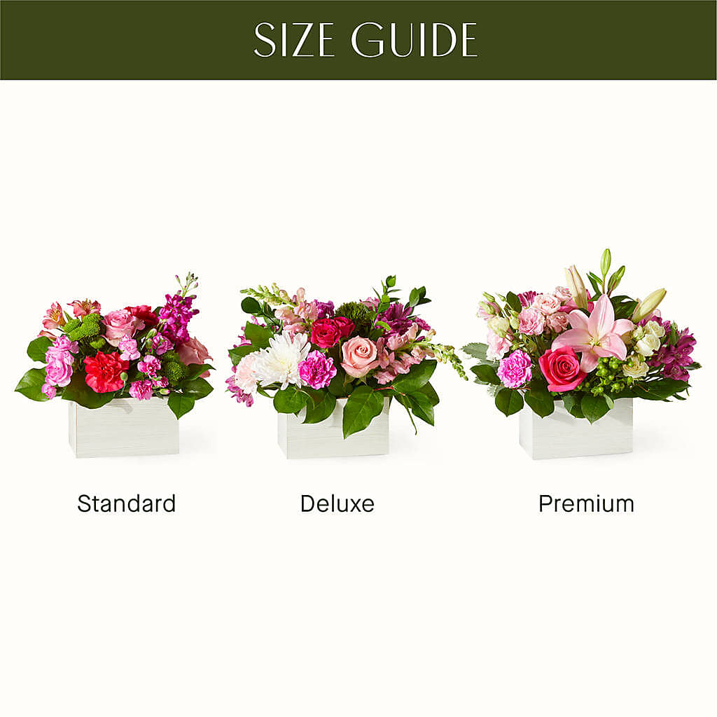 Sweetberry Box – A Florist Original –  Heavenly Plants, Regina SK