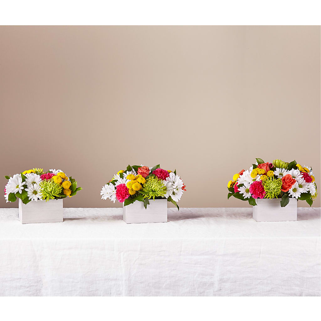 Sorbet Bouquet –  Heavenly Plants, Regina SK