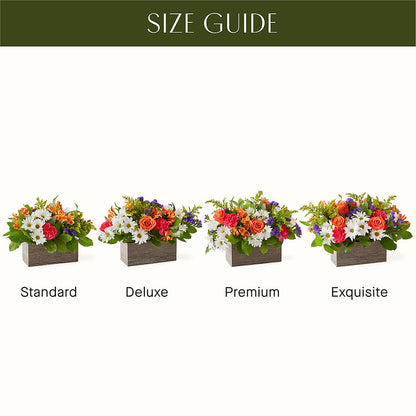 Oopsie Daisy Box Bouquet –  Heavenly Plants, Regina SK