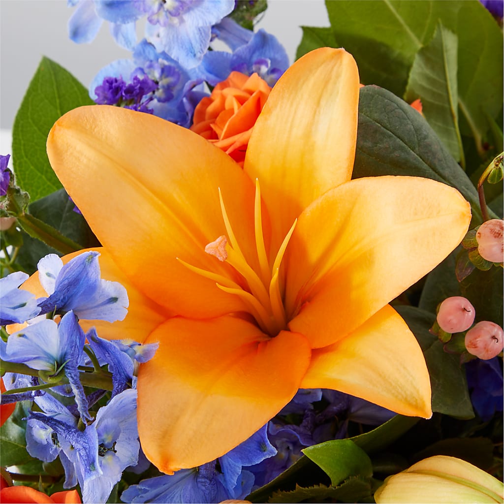 Radiant Citrus Box Bouquet –  Heavenly Plants, Regina SK